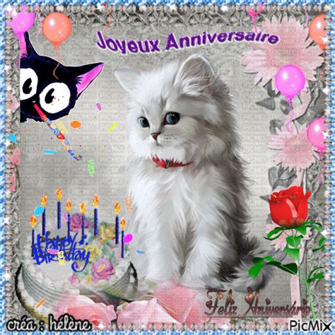 GIFs pour l’anniversaire d’un chat